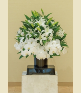 枕花イメージ